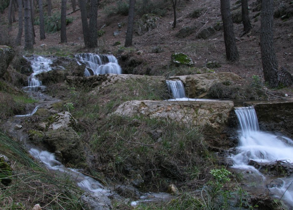 Ruta Bienservida-Avellanares-Nacimiento 1