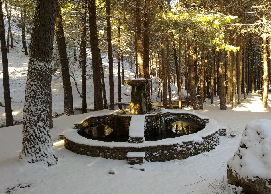 Ruta Bienservida-Avellanares-Nacimiento 2