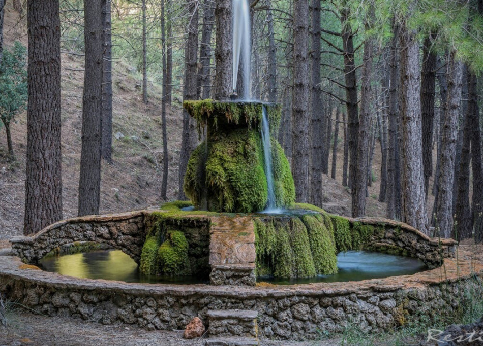 Ruta Bienservida-Avellanares-Nacimiento 6