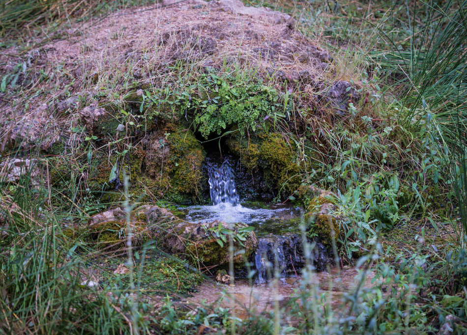 Ruta Bienservida-Avellanares-Nacimiento 7
