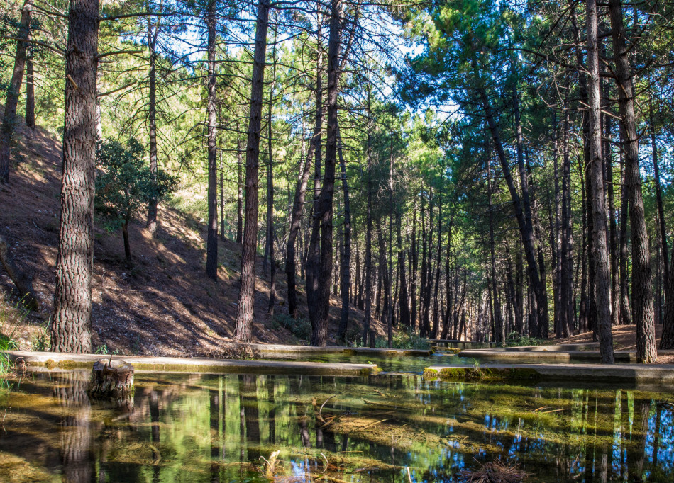 Ruta Bienservida-Avellanares-Nacimiento 8