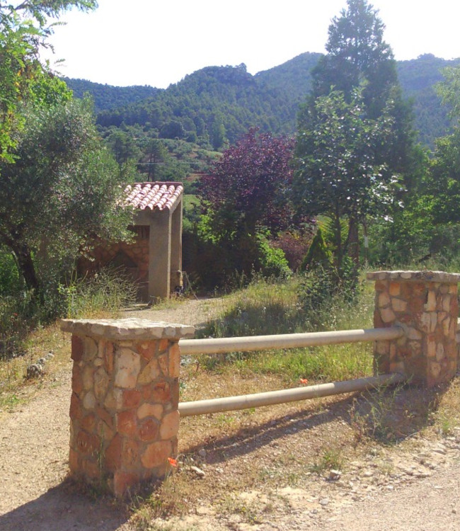 Migarría – Noguerones