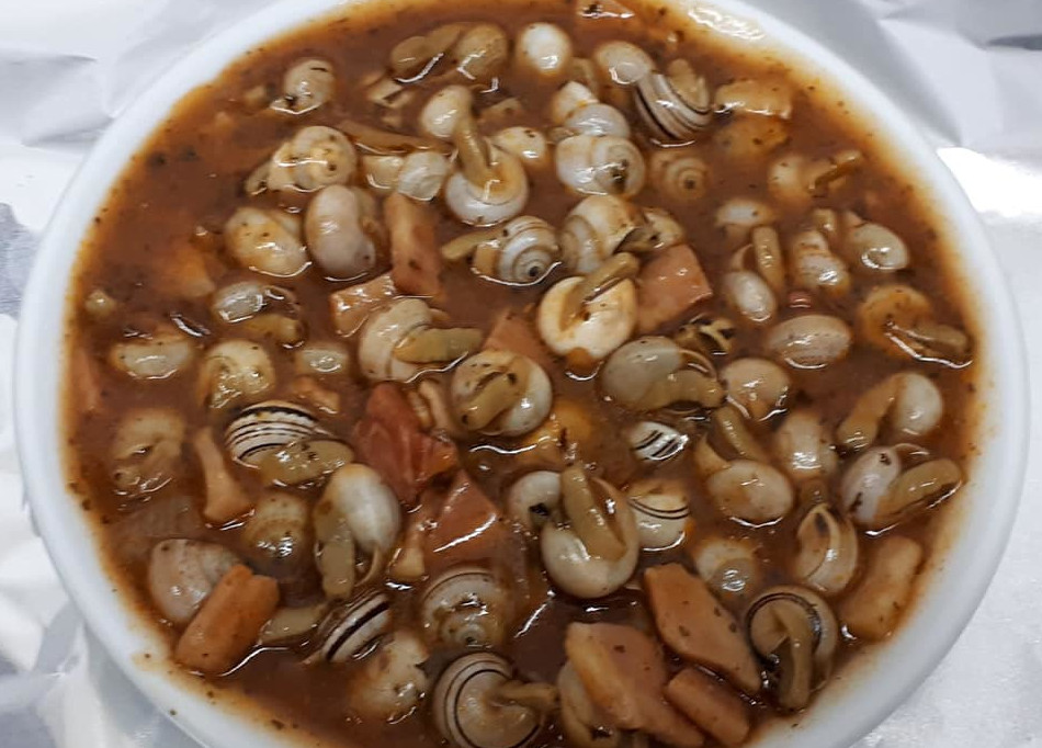 florida bienservida 9