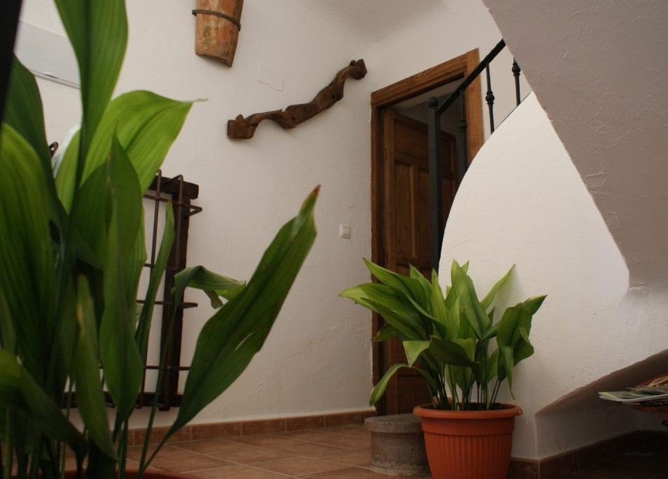 tio emilio bienservida 5