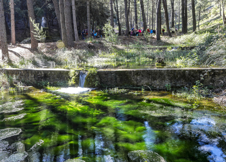 el nacimiento bienservida 2