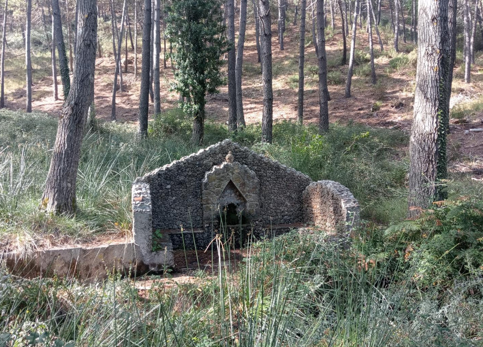 el nacimiento bienservida 3