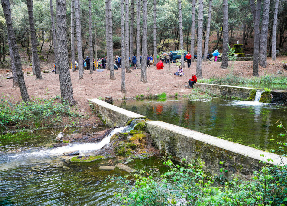 el nacimiento bienservida 4