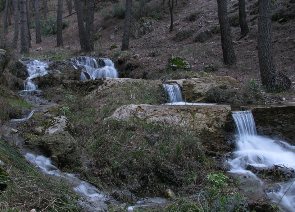 el nacimiento bienservida 5