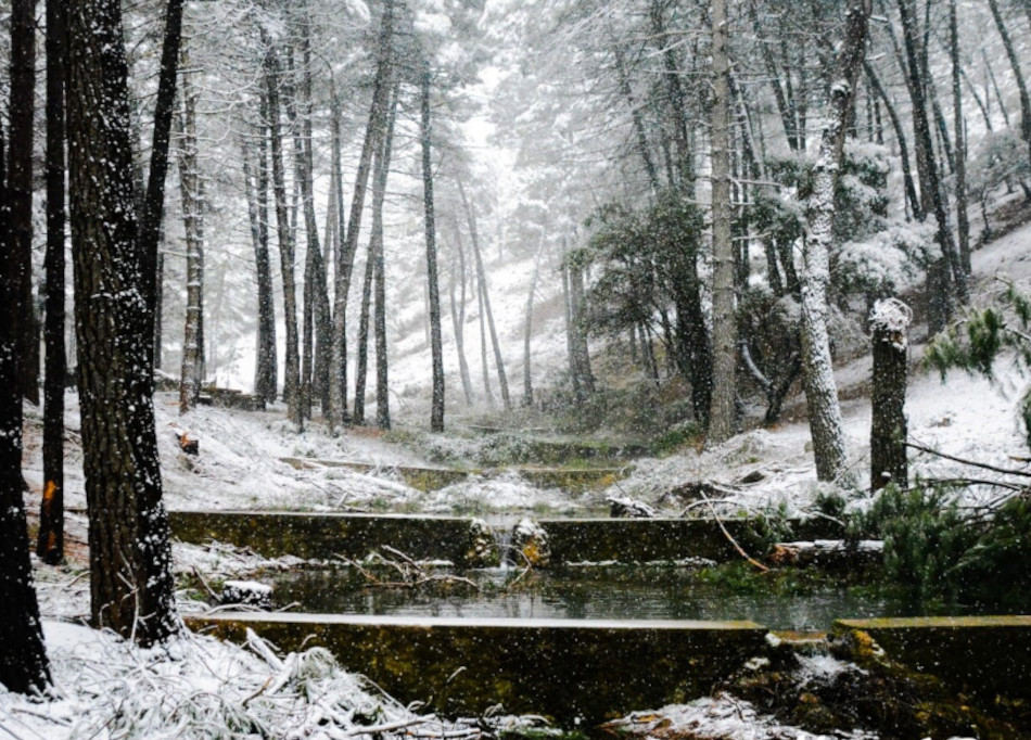 el nacimiento bienservida 6