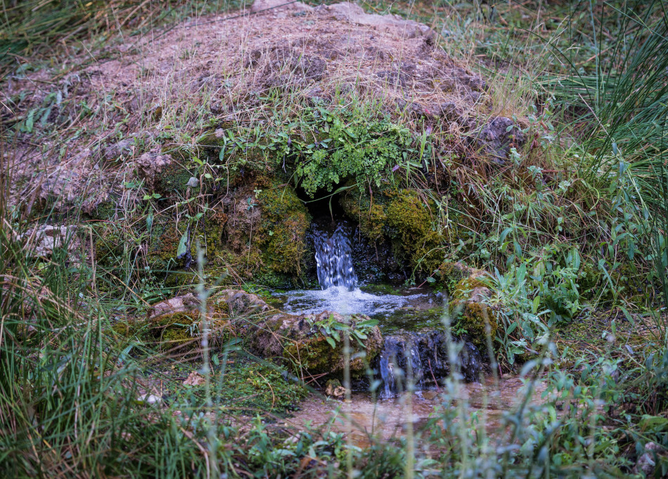 el nacimiento bienservida 7