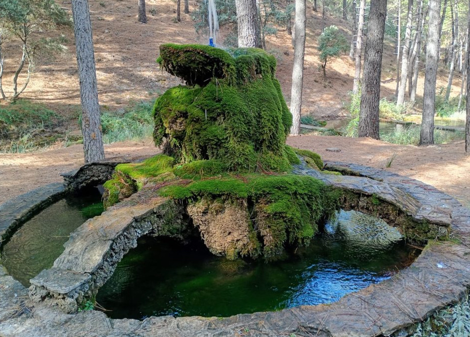 el nacimiento bienservida 8