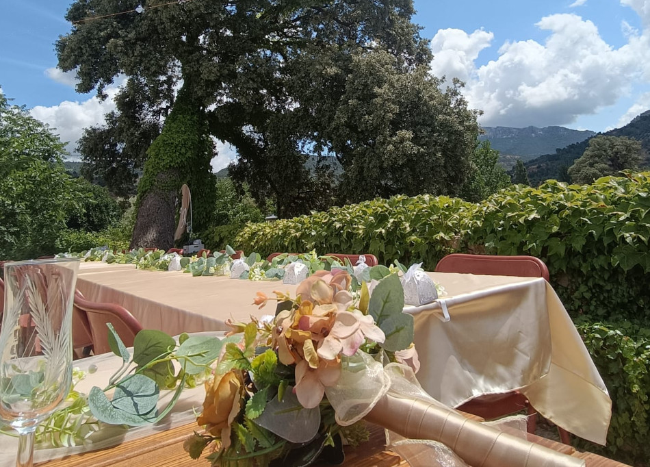 la casica bienservida 4