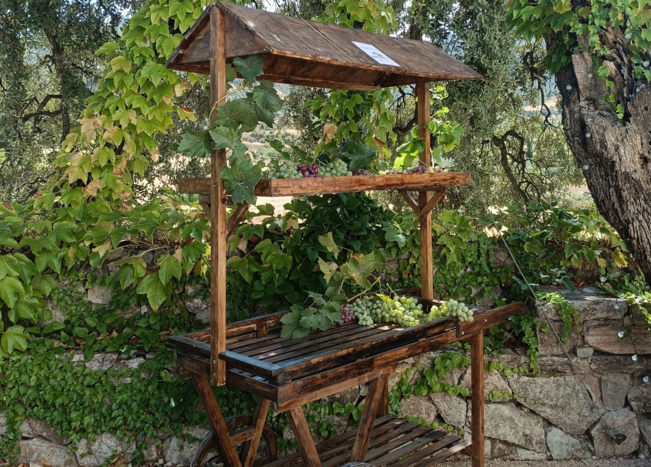 la casica bienservida 6