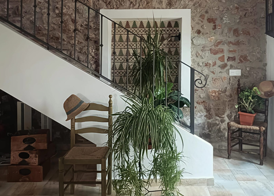 la casica bienservida 7