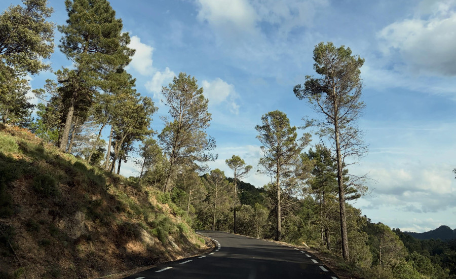 Mejoras en la carretera de La Sierra