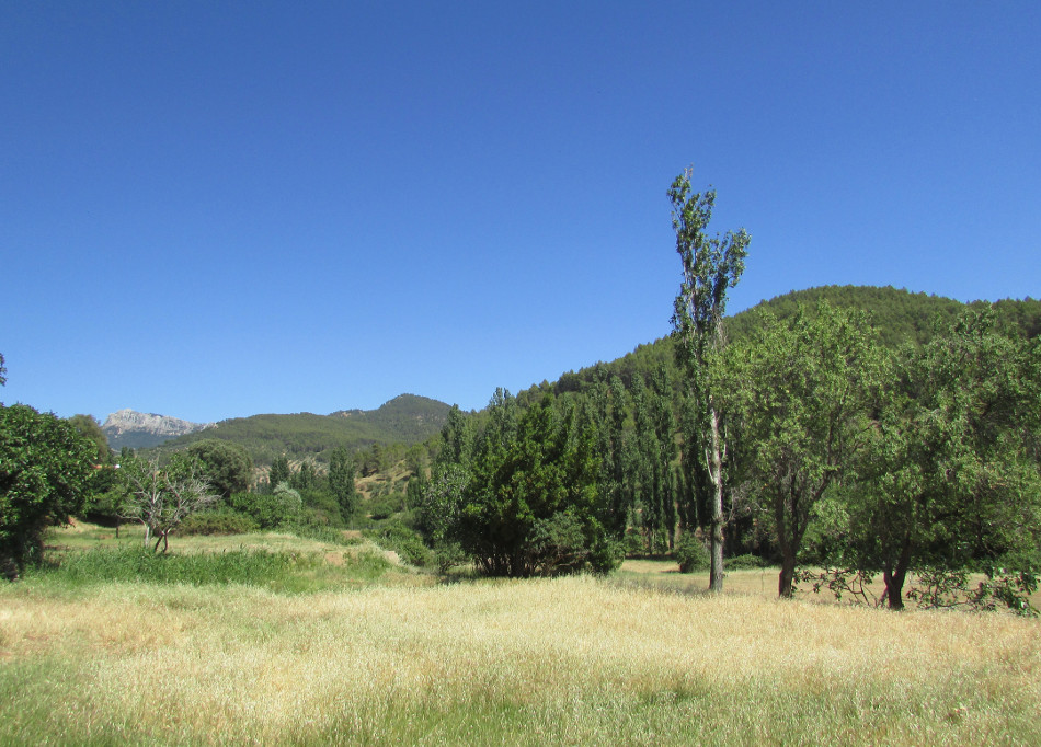 Ruta Cabezuela 3