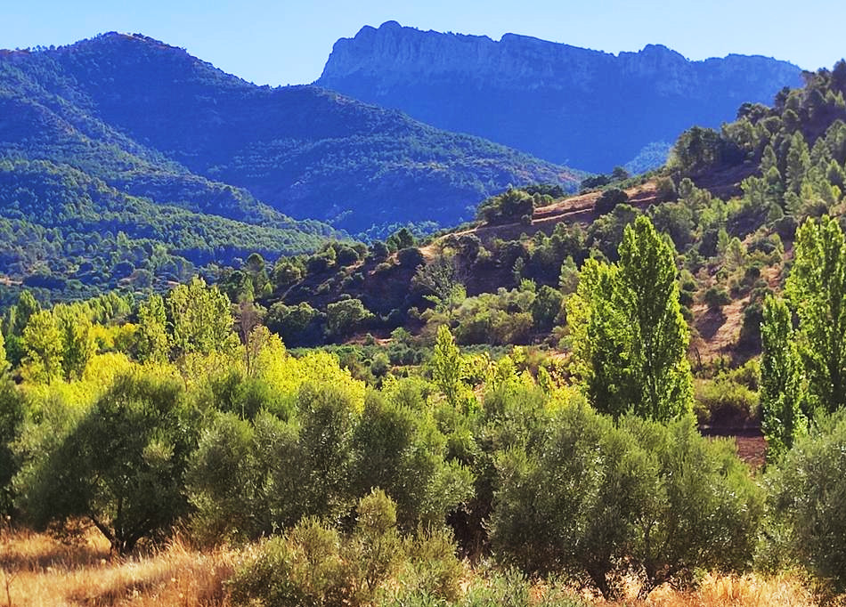 Ruta Cabezuela 8