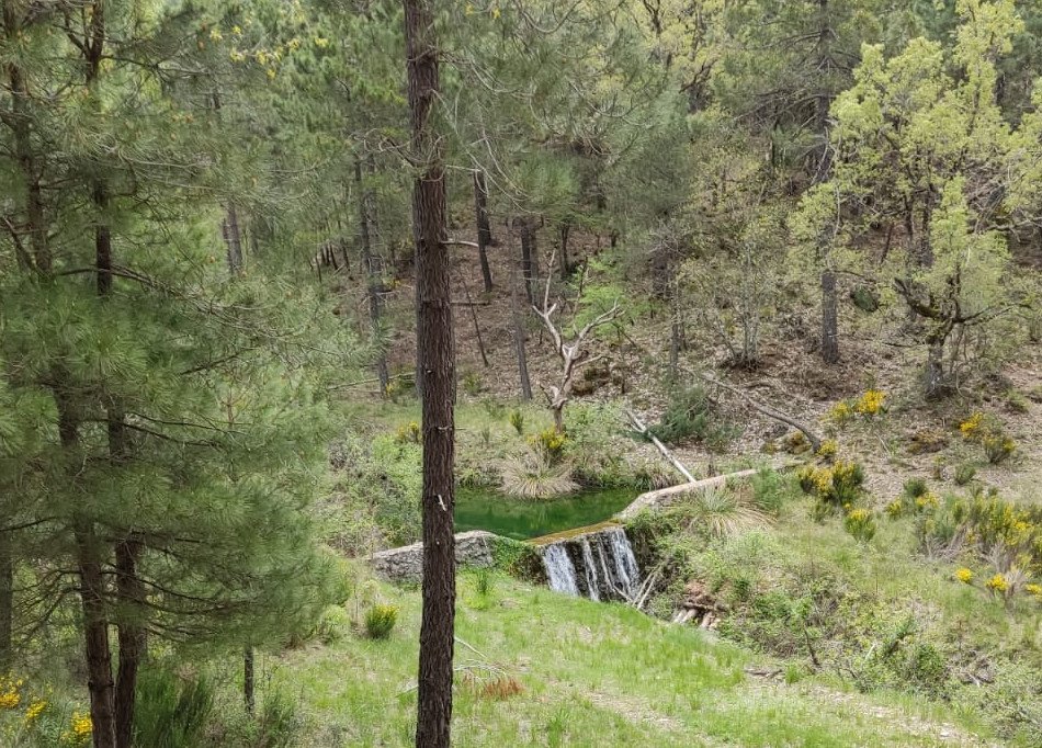 Ruta Campamentos La Pileta Tejo 2