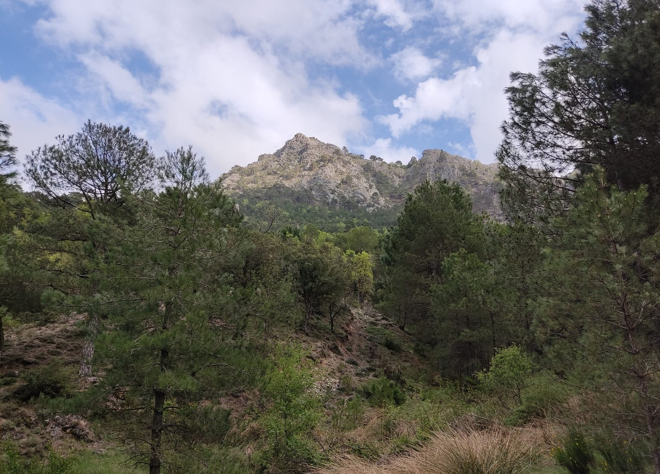 Ruta Campamentos La Pileta Tejo 5