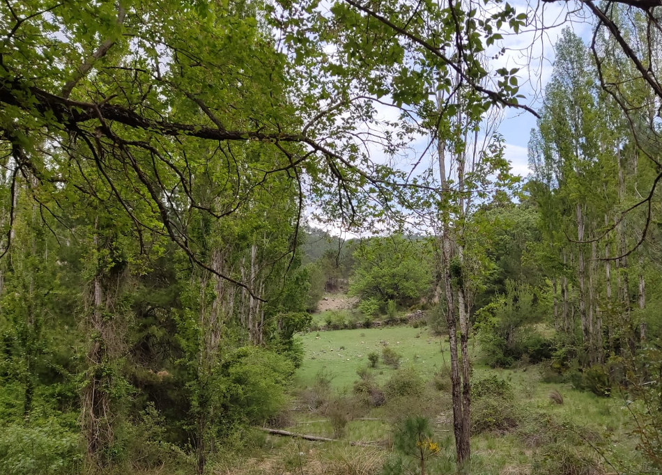 Ruta Campamentos La Pileta Tejo 6