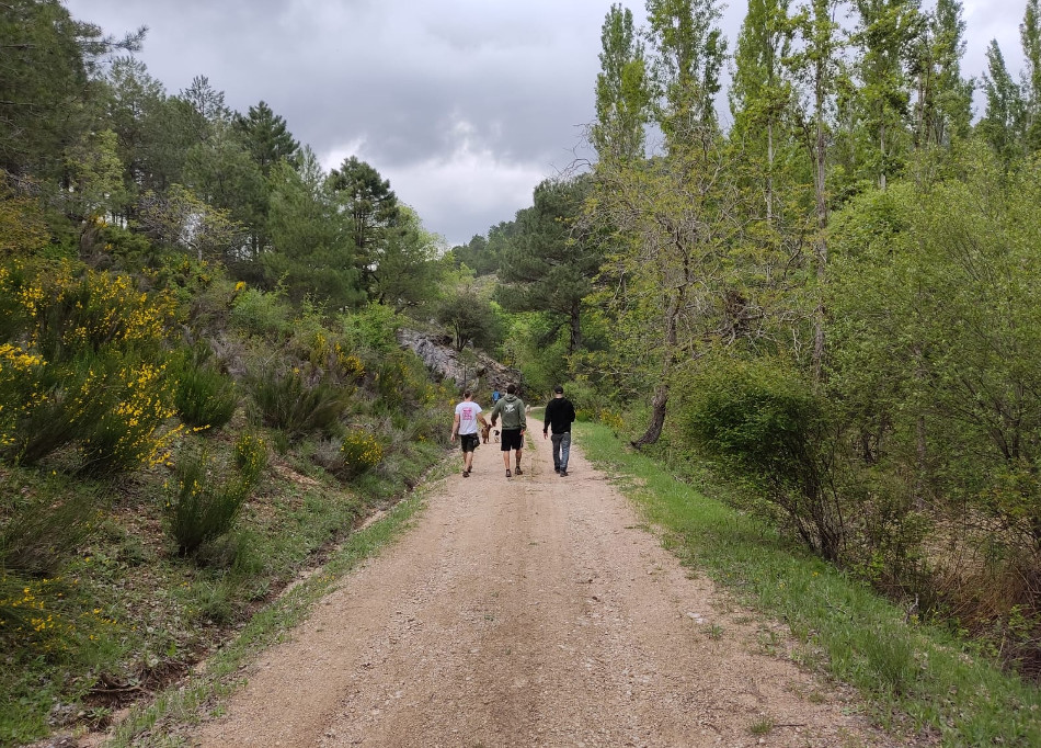Ruta Campamentos La Pileta Tejo 7