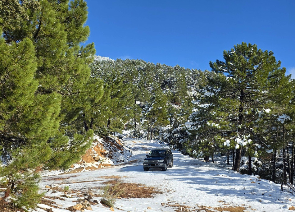 Ruta la sarga 1