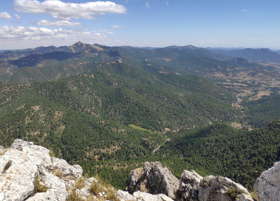 Ruta la sarga 3