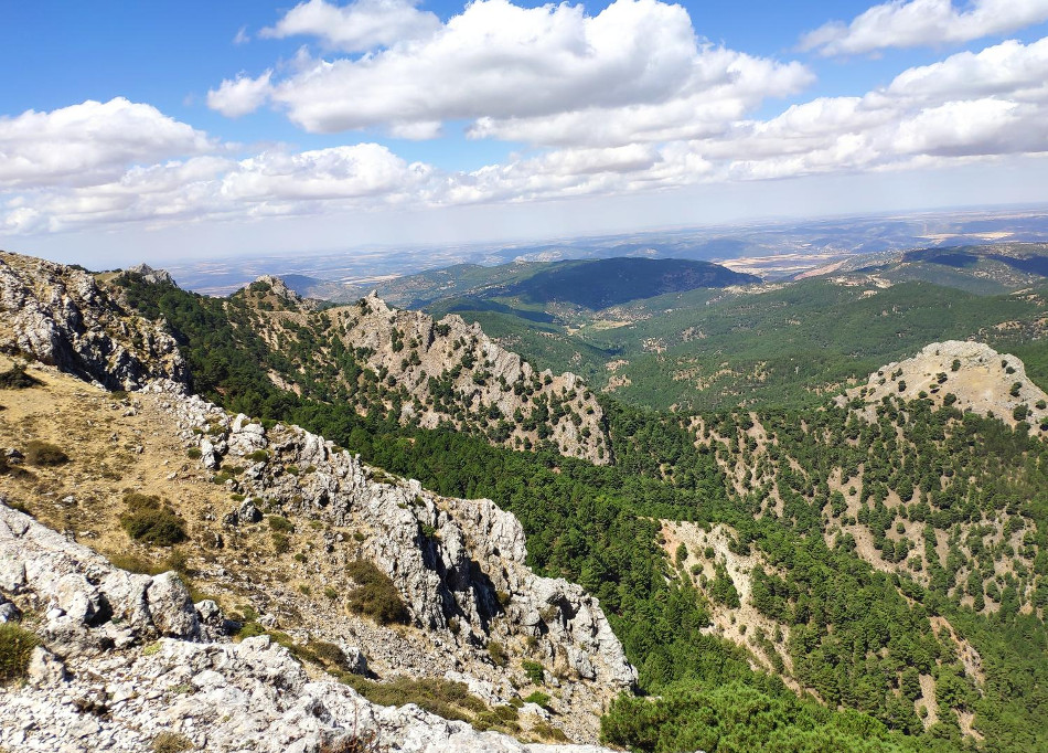 Ruta la sarga 5
