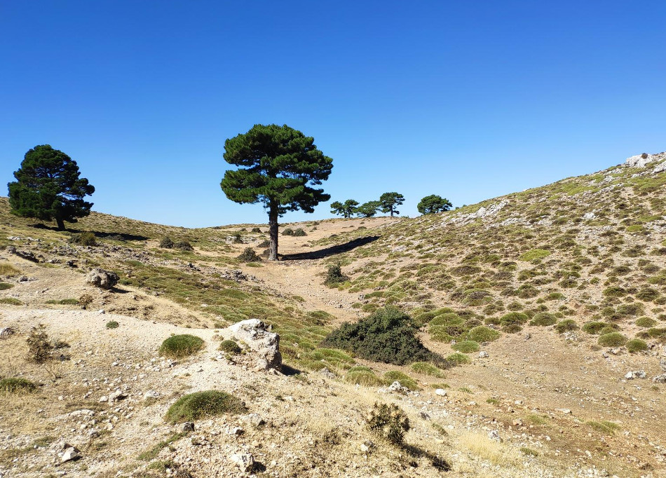 Ruta la sarga 8