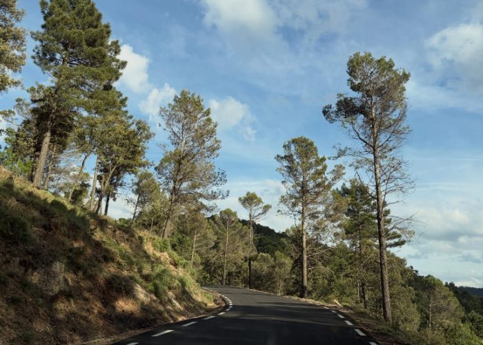 Mejoras en la carretera de La Sierra