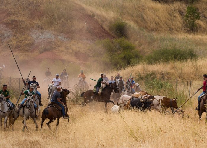 Bienservida acogerá las VIII Jornadas de Encierros por Vereda